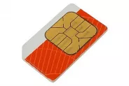 Абонамент SIM карти за НАП (за 1 месец)