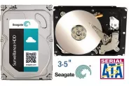 Твърд диск HDD 10TB 3.5'' Sata3 7200 256MB (Seagate ST10000VX004) Survei