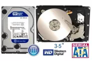 ����� ���� HDD 320GB 3.5'' Sata2 7200 8MB  (WD - Blue)